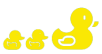 Canards_Famille-YELLOW Canards_Famille-YELLOW